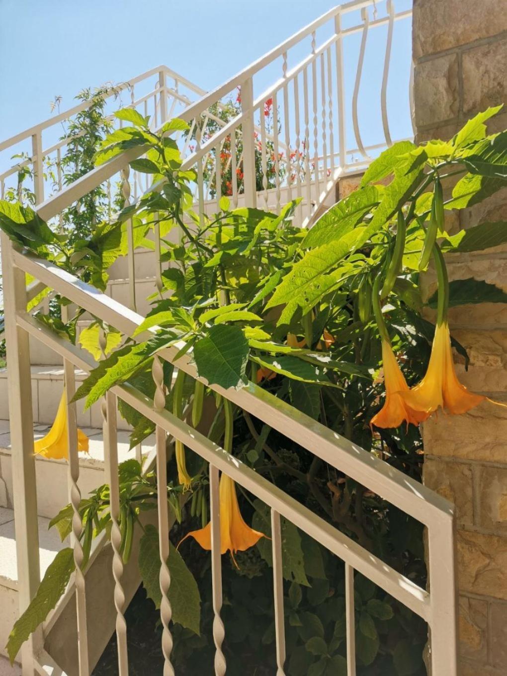 Apartments Srdan Vinišće Kültér fotó